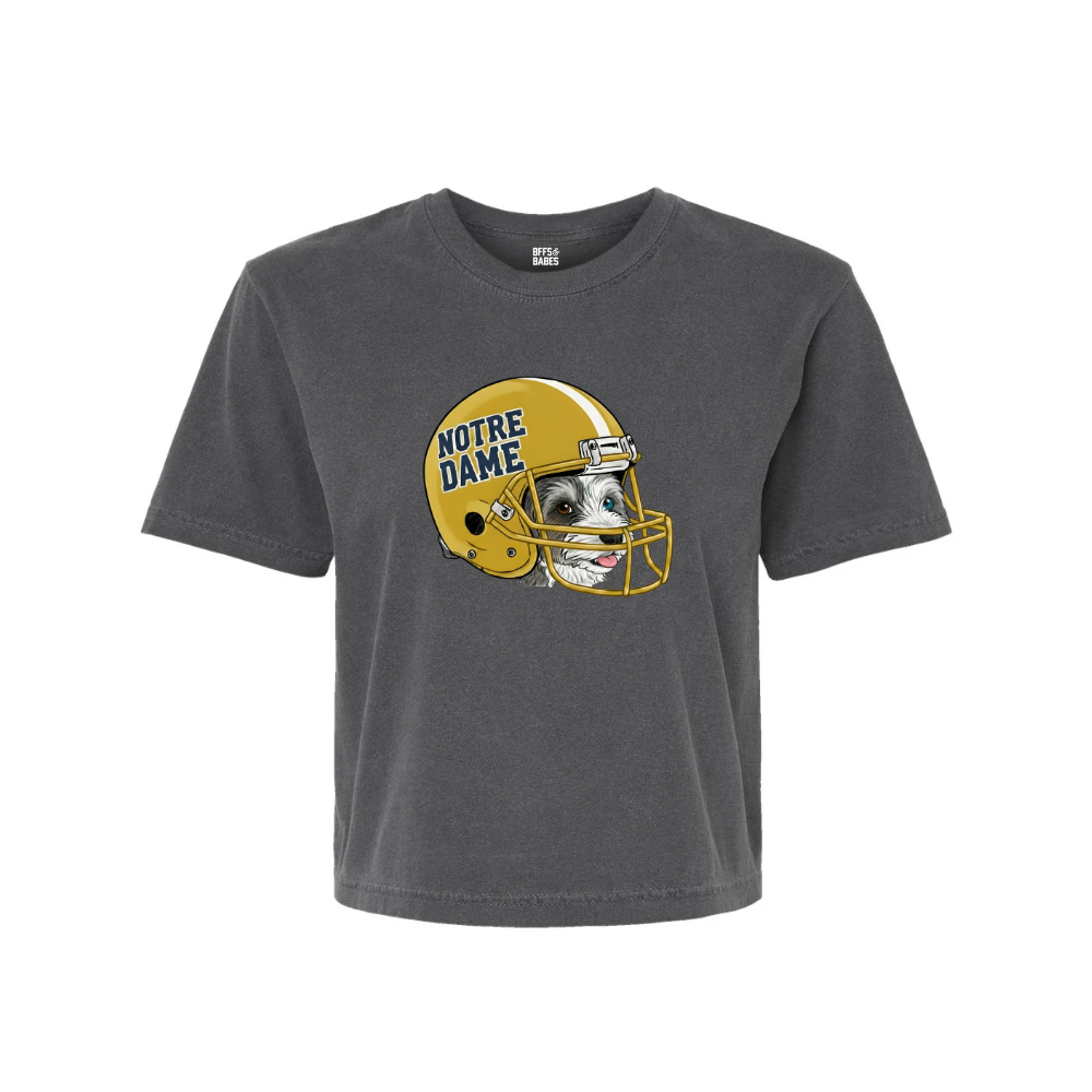 FOOTBALL BEARS ♡ custom cropped team tee