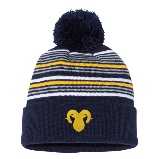 RAMSEY ♡ embroidered adult beanie