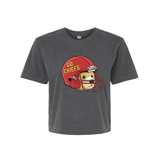 FOOTBALL BEARS ♡ adult cropped team tee