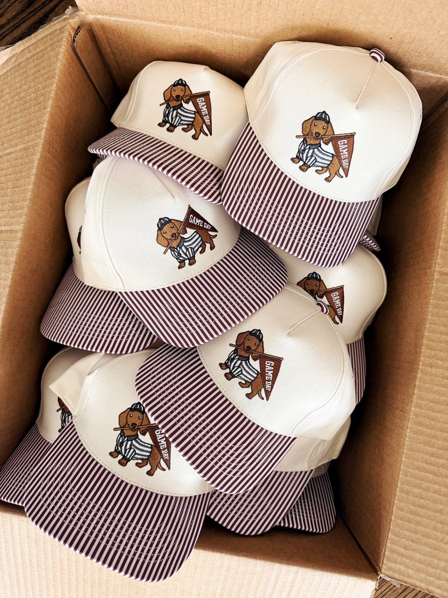 GAME DAY DOXIE ♡ embroidered hat