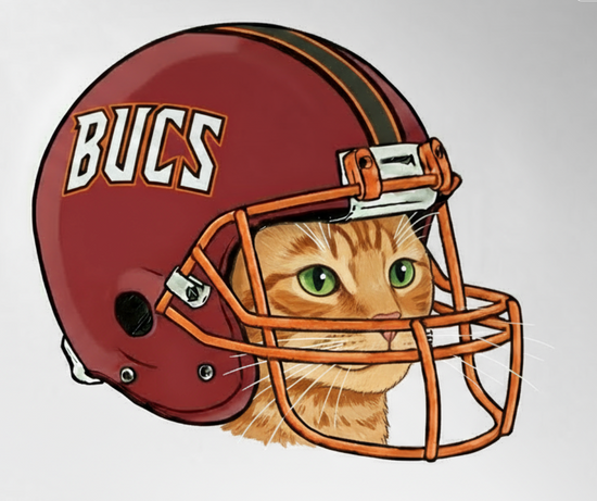 FOOTBALL BEARS ♡ custom cropped team tee