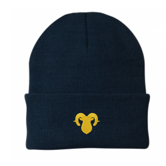 RAMSEY ♡ embroidered adults & kids beanie