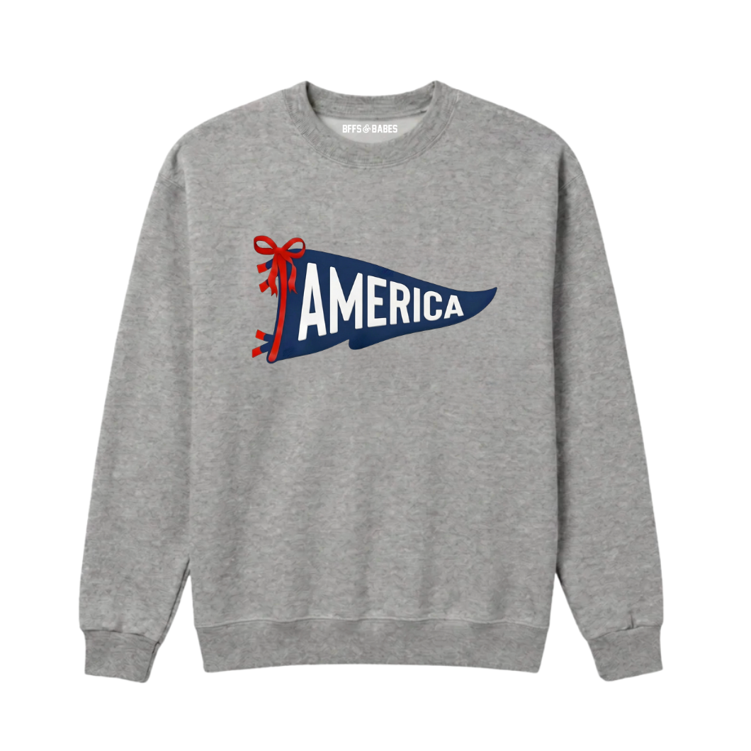 AMERICA PENNANT ♡ adult & kids sweatshirt