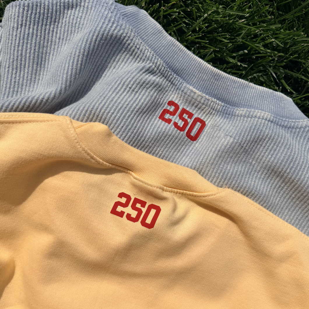 USA 250 ♡ printed patriotic sweatshirt