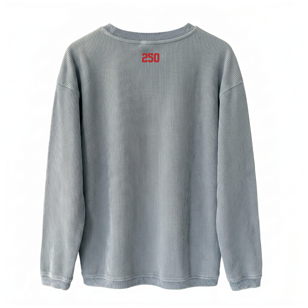 USA 250 ♡ printed patriotic corded sweatshirt