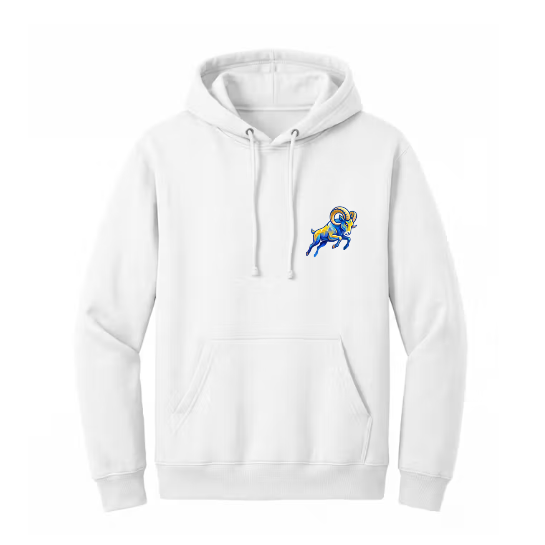 RJFA ♡ adult & kids hooded sweatshirt